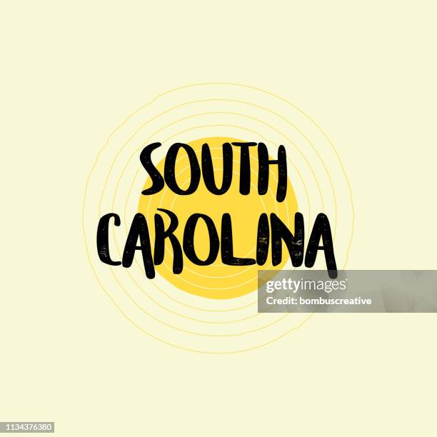 south carolina lettering design - sunshine state stock illustrations
