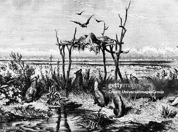 Burial customs: Body left exposed on raised wooden platform: North American Indians in region of Saskatchewan river. Wood engraving c1870.