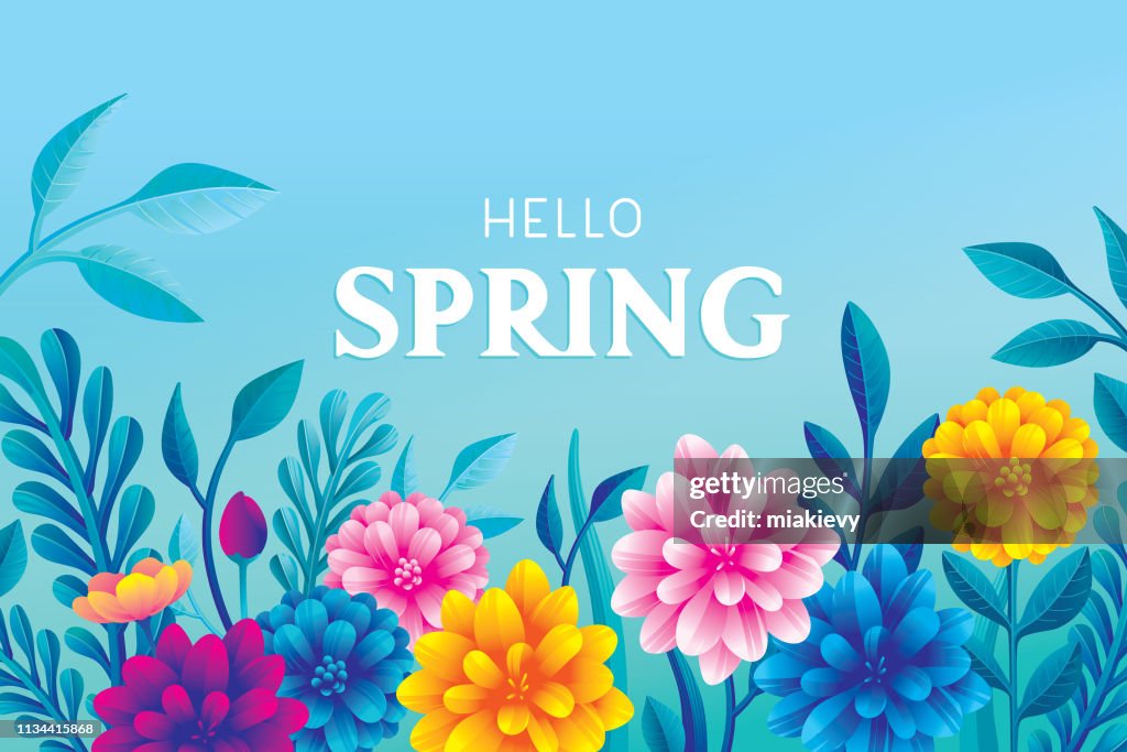 Hello Blooming Spring Flowers High-Res Vector Graphic - Getty Images
