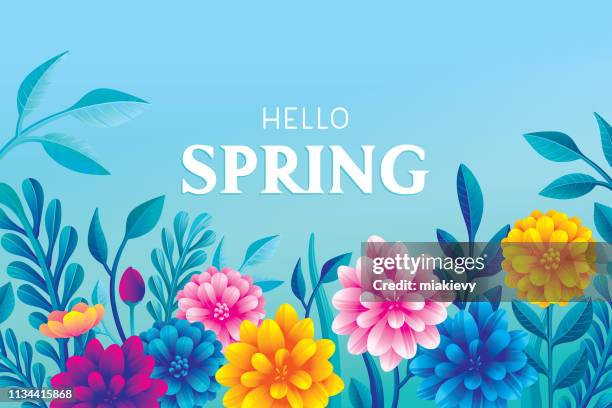 hello blooming spring flowers - spring flower stock illustrations