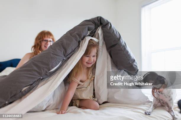 girl hiding under duvet, mother and dog on  bed - kid hide and seek stock pictures, royalty-free photos & images