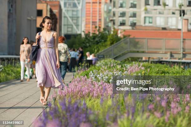 High Line Walk 5,936 High Line Walk Stock Photos, High-Res Pictures, and Images ...