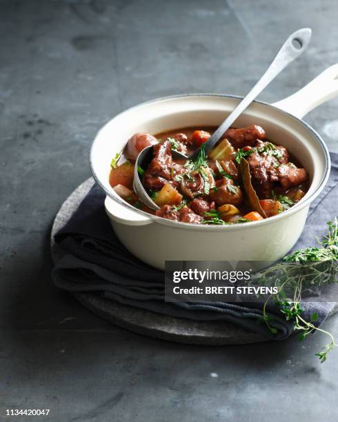 beef bourguignon in pan with ladle - stew stock pictures, royalty-free photos & images