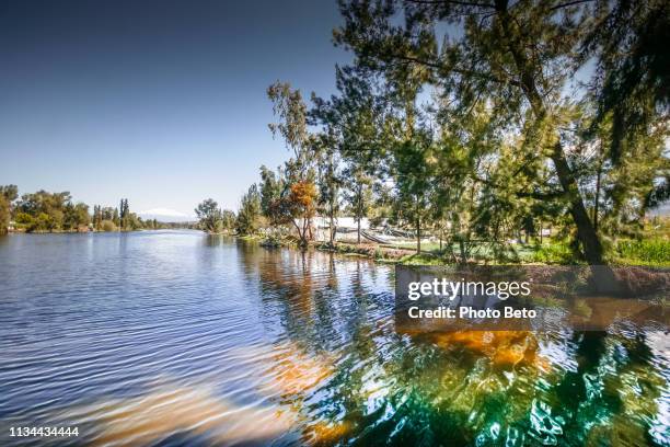 un paesaggio idilliaco tra le placide acque del lago xochimilco nel sud di città del messico - lake placid town foto e immagini stock