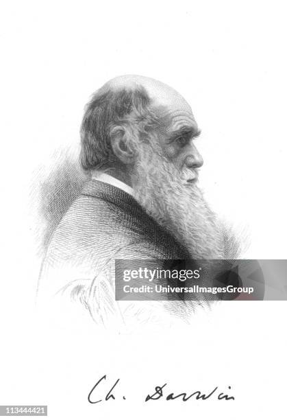 Charles Darwin English naturalist. A pioneer of theory of Evolution by Natural Selection. Engraving and signature