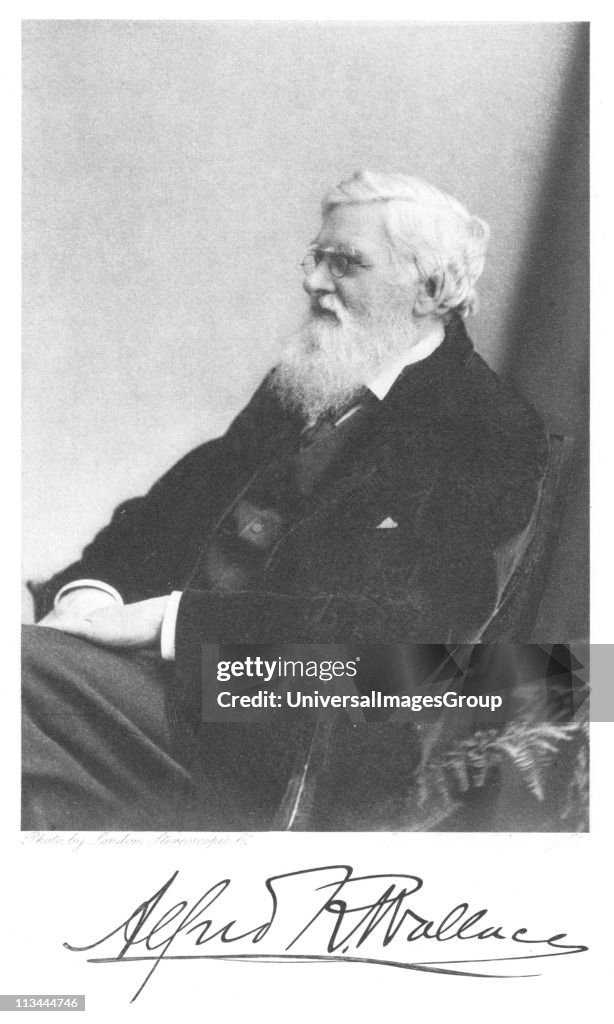 Alfred Russell Wallace (1823-1913) Welsh-born British naturalist. From Edward Clodd Pioneers of Evolution, London,1908...
