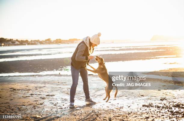 young woman playing with her dog on the beach - winter friends playing stock-fotos und bilder