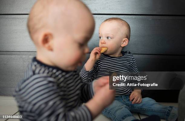 baby twin brothers eating biscuits in living room - buttermilk biscuit stock-fotos und bilder