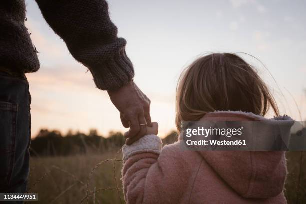 father with daughter standing at a field at sunrise - kid hand holding stock-fotos und bilder