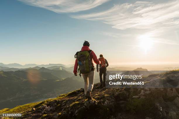 austria, salzkammergut, couple hiking in the mountains - bergwandeling stockfoto's en -beelden