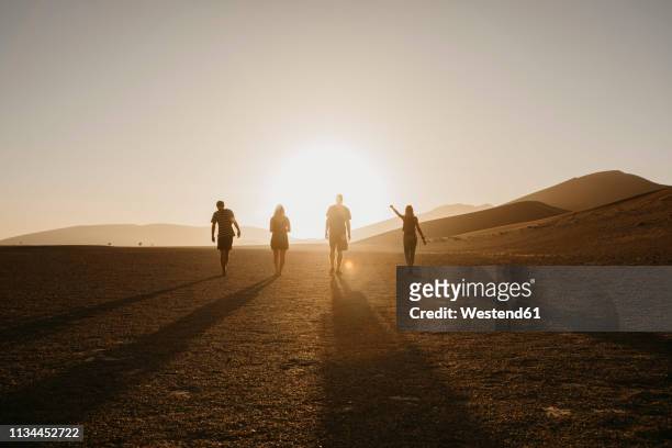 namibia, namib desert, namib-naukluft national park, sossusvlei, friends walking at dune 45 at sunrise - backlit photos et images de collection