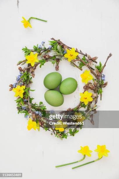 self-made easter wreath and green dyed eggs on white ground - easter wreath stock pictures, royalty-free photos & images