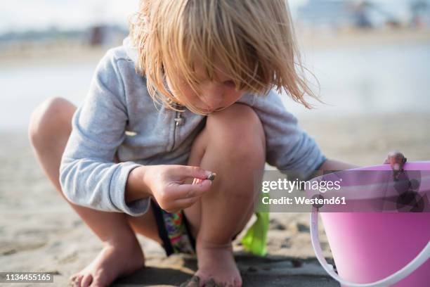 little girl with bucket on the beach - beach bucket stock pictures, royalty-free photos & images