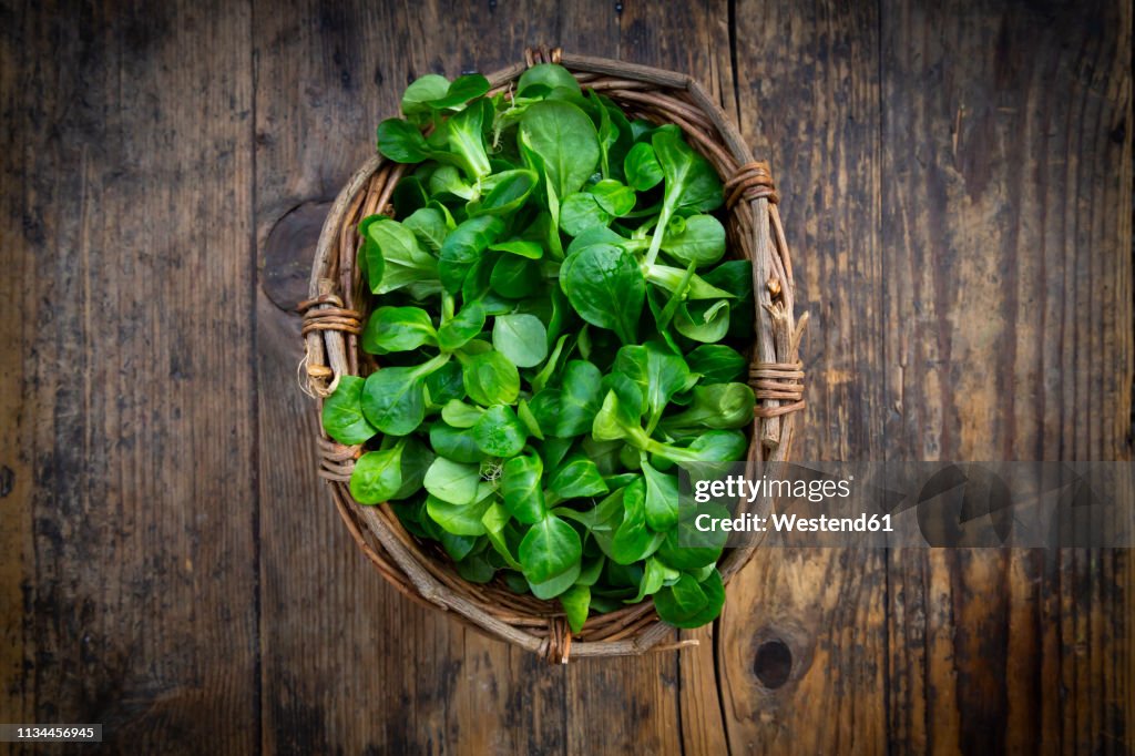 Lamb's lettuce in wickerbasket
