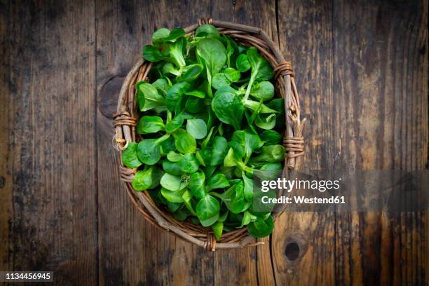 lamb's lettuce in wickerbasket - feldsalat stock-fotos und bilder