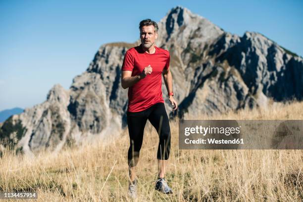 austria, tyrol, man running in the mountains - trailrunning stock-fotos und bilder