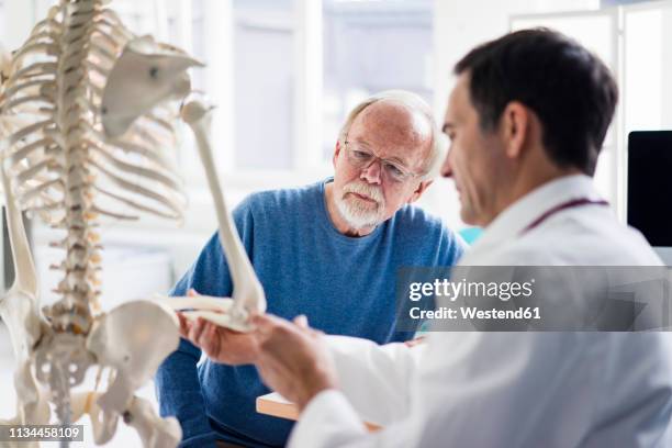 doctor explaining bones at anatomical model to patient in medical practice - modèle anatomique photos et images de collection