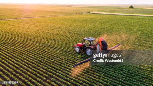 serbia, vojvodina, aerial view of a tractor spraying soybean crops - soybean harvest photos et images de collection