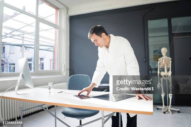 doctor in medical practice with skeleton in background - scientist standing next to table stock pictures, royalty-free photos & images