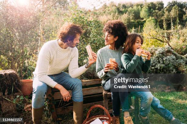 happy family siting in garden, taking a break, eating sandwiches - farm couple fotografías e imágenes de stock