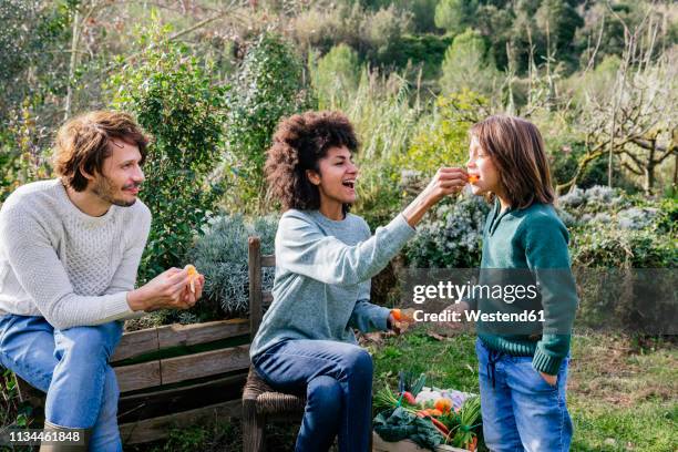 happy family sitting in garden, taking a break, eating sandwiches - orange farm - fotografias e filmes do acervo