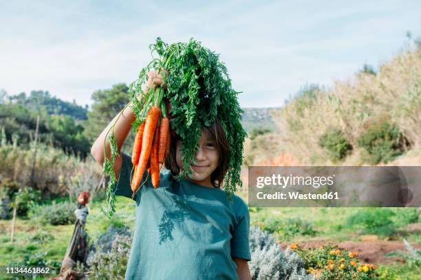 boy standing in vegetable garden, holding a bunch of carrots - harvesting stock photos et images de collection