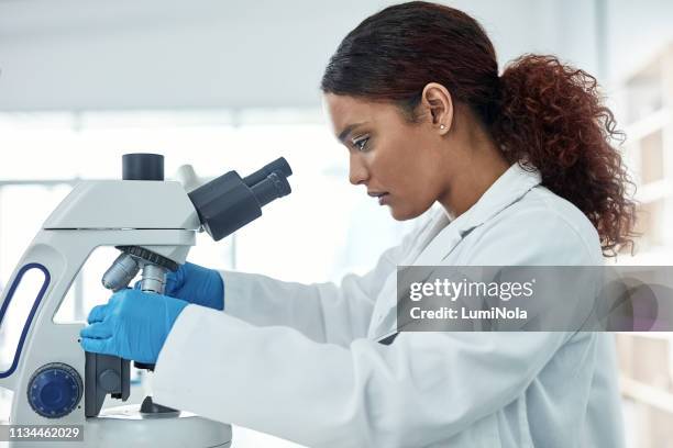 she's been working hard to find a cure - pathologist stock pictures, royalty-free photos & images