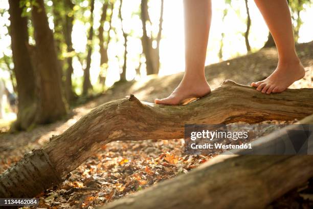 close-up of feet of a woman in forest balancing on a log - barfuß stock-fotos und bilder