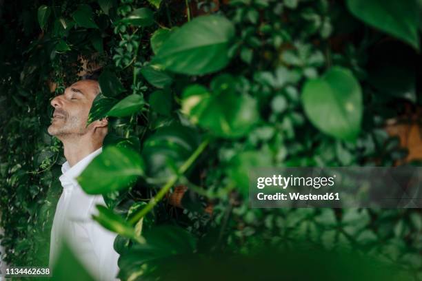 businessman in green office relaxing - rodeando - fotografias e filmes do acervo