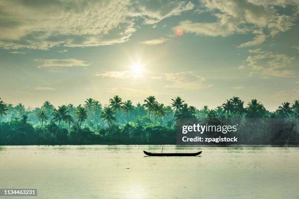 tropical morning with a canoe and coconut palm trees - canal interior imagens e fotografias de stock