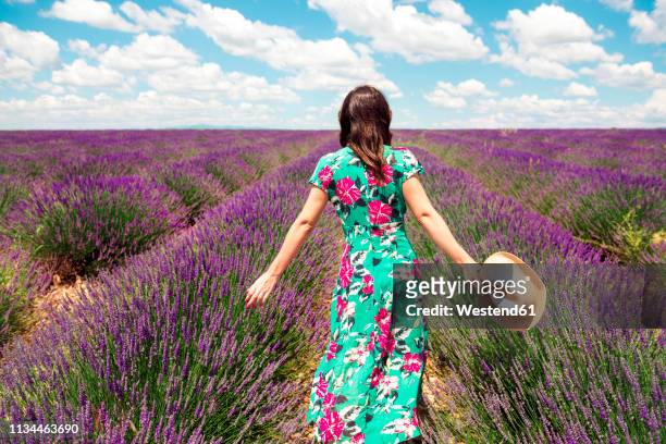 france, provence, valensole plateau, back view of woman wearing summer dress standing in lavender field - floral pattern dress stockfoto's en -beelden