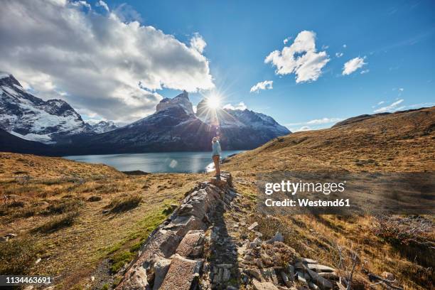 chile, torres del paine national park, woman standing on rock in front of torres del paine massif at sunrise - torres del paine national park imagens e fotografias de stock