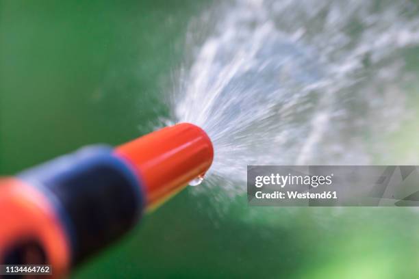 watering with garden hose - spray nozzle stock pictures, royalty-free photos & images