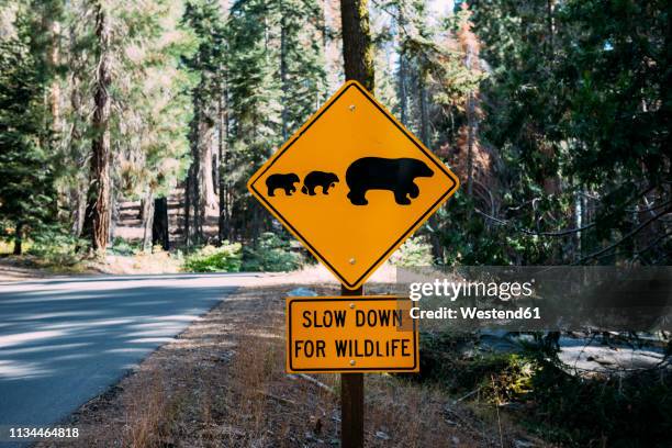 usa, california, sequoia natioal park, animal crossing sign, family of mum and baby bears - crossing sign fotografías e imágenes de stock