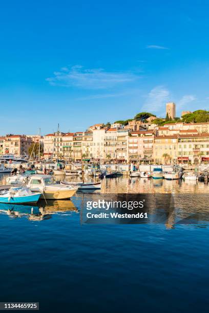 france, provence-alpes-cote d'azur, cannes, le suquet, old town, fishing harbour and boats - cannes building stock pictures, royalty-free photos & images