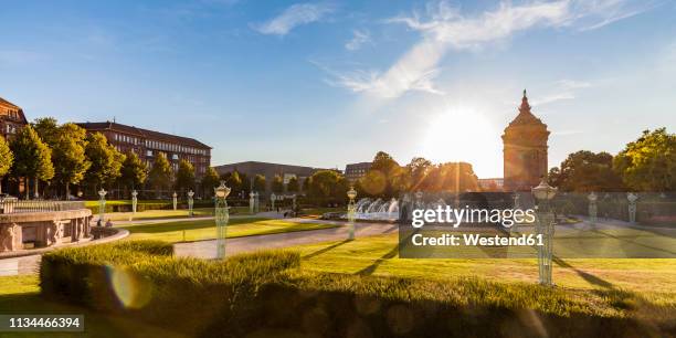 germany, mannheim, friedrichsplatz with fountain and water tower at back light - mannheim stock pictures, royalty-free photos & images