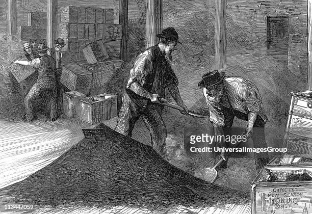 Tea warehouses of the East & West India Dock Company, London. Refilling tea chests after bulking Wood engraving, 1874.