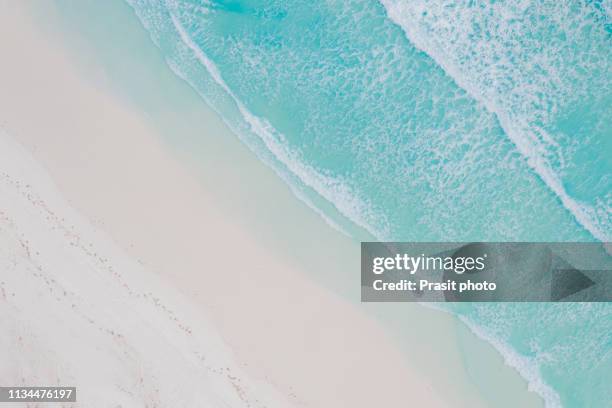 aerial view of sandy tropical beach in summer at western australia, australia. - rottnest island stock pictures, royalty-free photos & images