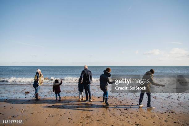 family skimming stones into the sea - skimming stones stock pictures, royalty-free photos & images