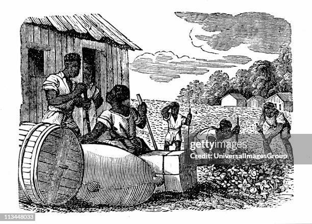 Slaves on a cotton plantation in Georgia, USA. Wood engraving c1830.