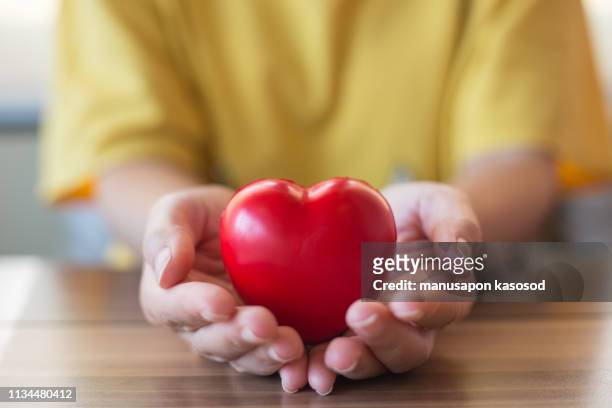 women hand holding heart, heart disease concept - heart month fotografías e imágenes de stock