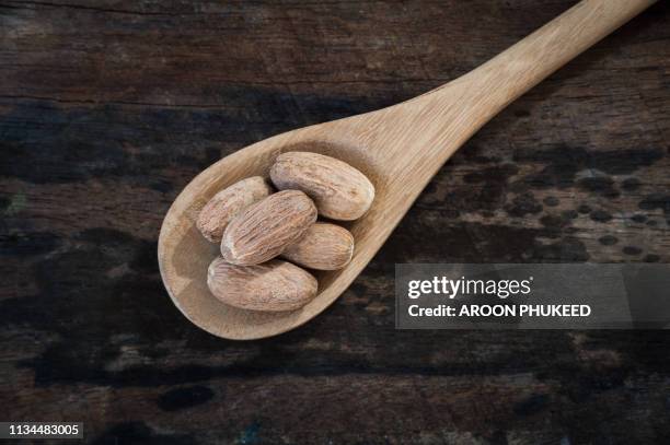 nutmeg on wooden spoon - malabarica stock pictures, royalty-free photos & images