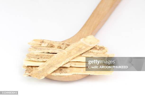 chinese herbal medicine - astragalus slices, huang qi (astragalus propinquus) - astragalus stock pictures, royalty-free photos & images