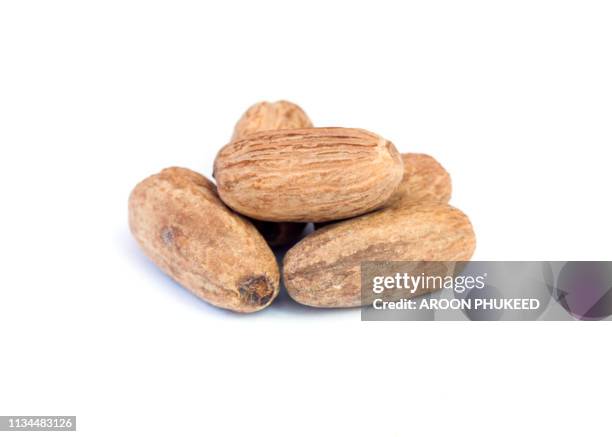 nutmeg - malabarica stock pictures, royalty-free photos & images