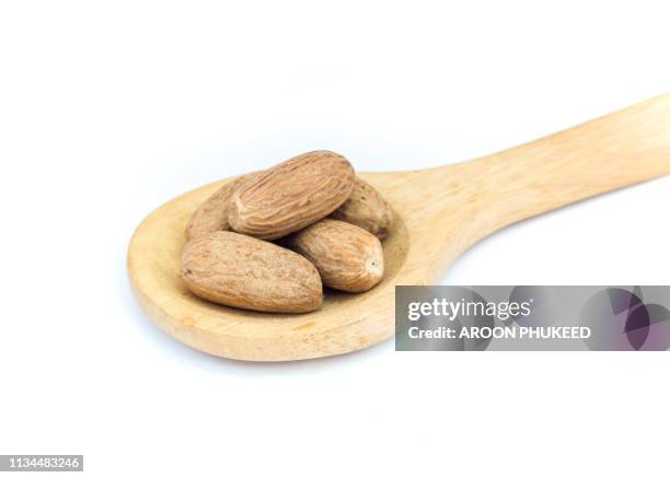 nutmeg on wooden spoon - malabarica stock pictures, royalty-free photos & images