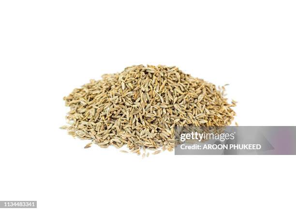cumin seeds - fennel seeds stock pictures, royalty-free photos & images