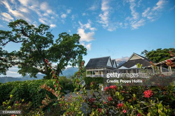 strawberry hill hotel: luxury jamaican resort, blue mountains, jamaica - jamaica kingston fotografías e imágenes de stock