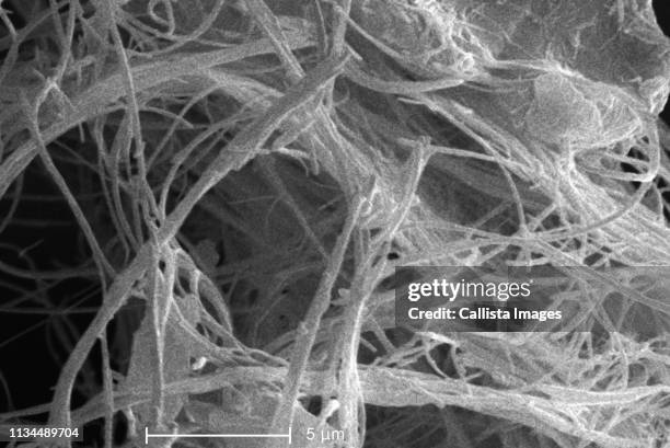 scanning electron micrograph of asbestos - asbestos stock pictures, royalty-free photos & images