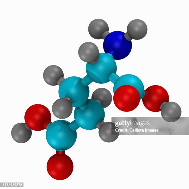 ball and stick model of the amino acid, glutamate - amino acid foto e immagini stock