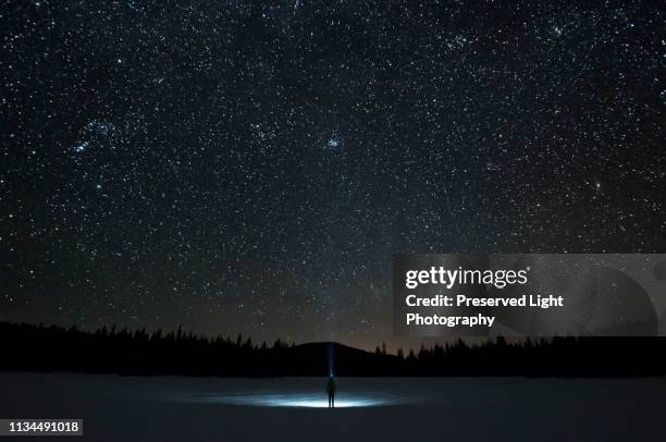 man looking up at pleiades star cluster and orion constellation, nickel plate lake, penticton, british columbia, canada - las pléyades fotografías e imágenes de stock